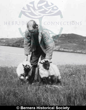 John Macdonald,3 Earshader, with two lambs