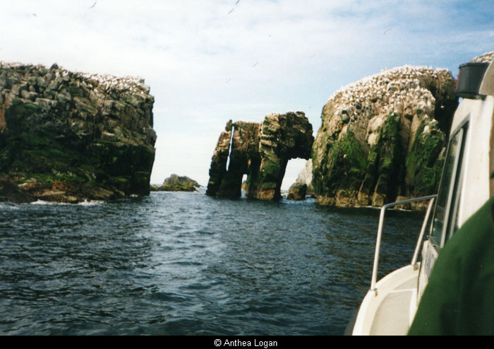 View of the Flannan Isles