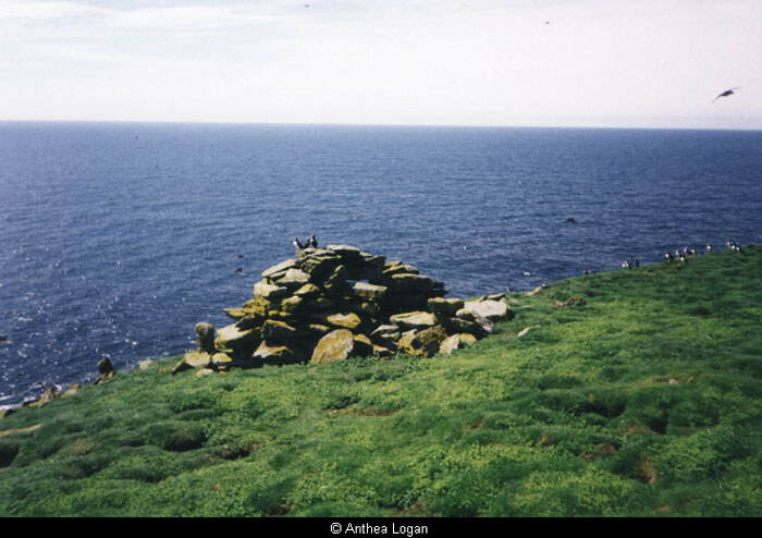 Structure on the Flannan Isles