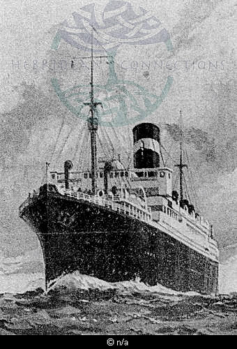 The SS Athenia