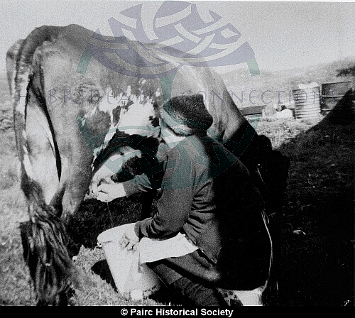 Mary A Montgomery, 13 Lemreway milking the cow