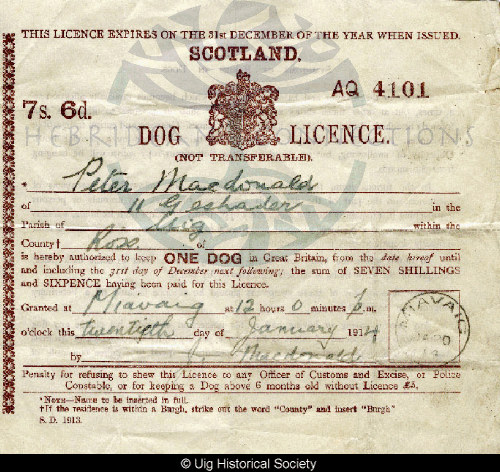 Dog licence belonging to Peter MacDonald